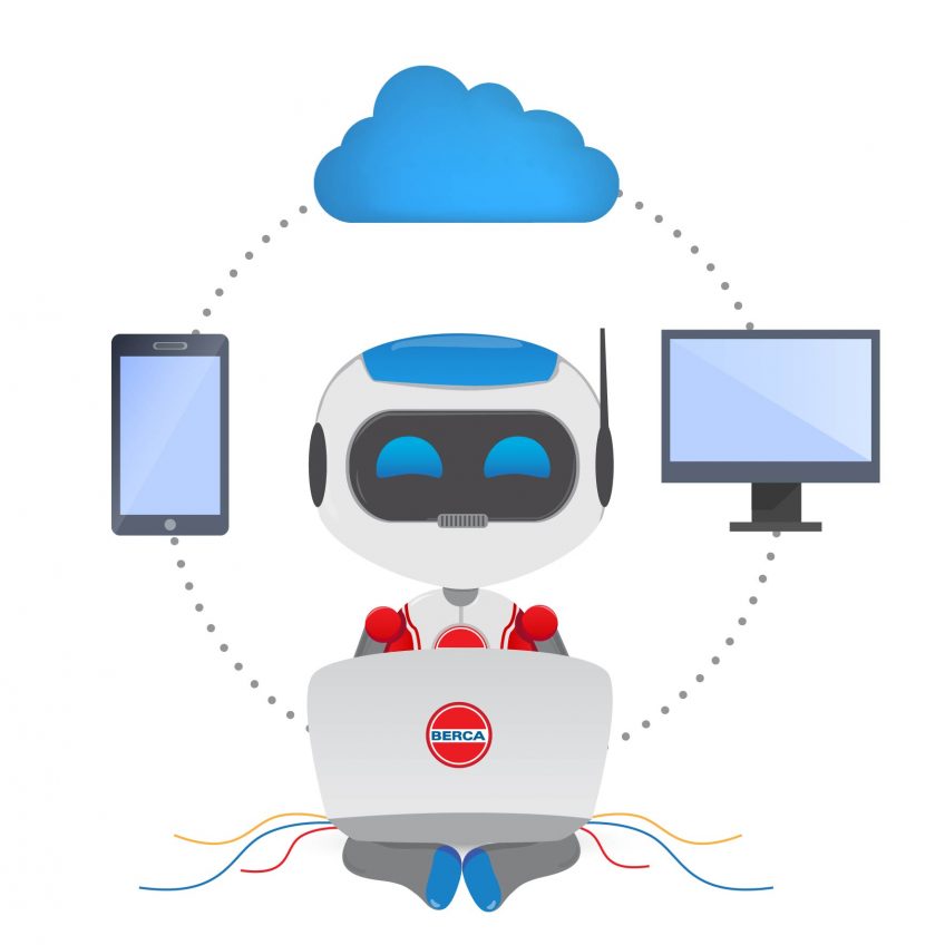IT Services Solution - Berca Hardayaperkasa