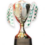 Best Partner Award 2017 FY16 Best EG Platinum Partner- HPE