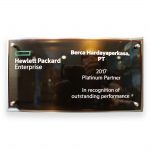 Platinum Partner in Recognition of Outstanding Performance 2017-HPE