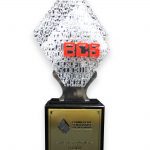 The Best Partner 2015- CISCO ECS Commercial & Enterprise Partner & Award