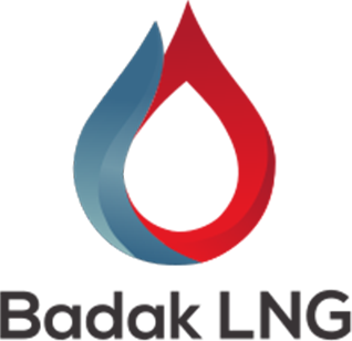 Badak_NGL_new_logo_(since_2018).svg