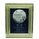 FY23 Award APAC Partner Contest - Huawei Partner Summit 2024