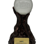 SMB Partner of The Year - HPE Award 2025