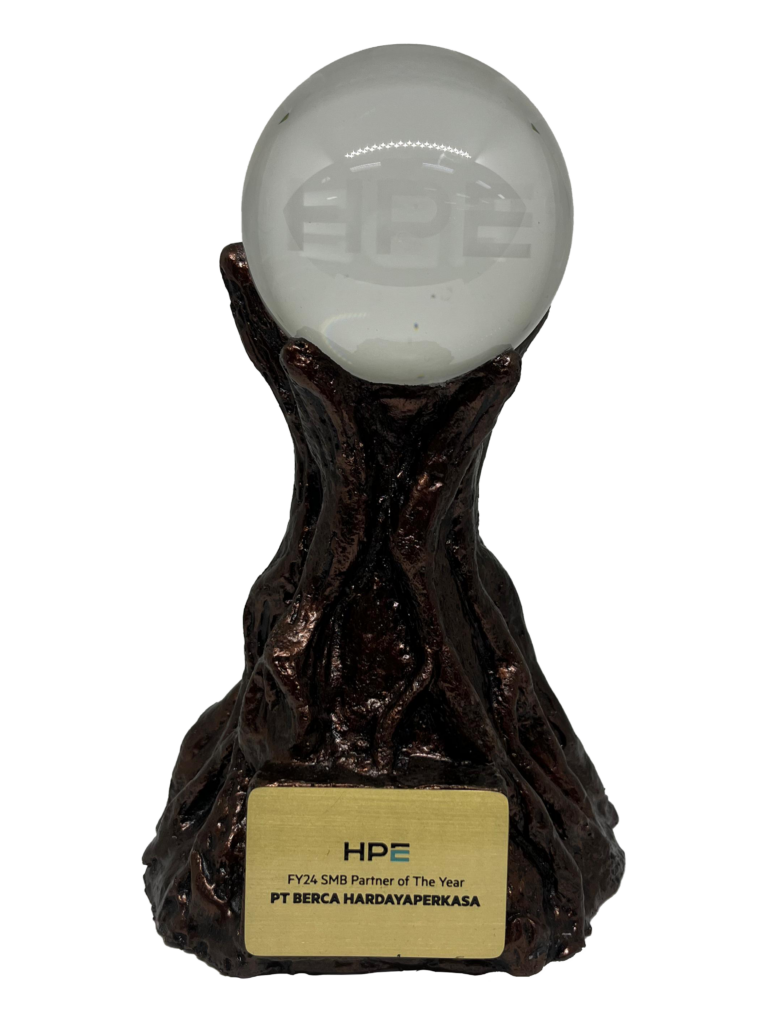 SMB Partner of The Year - HPE Award 2025